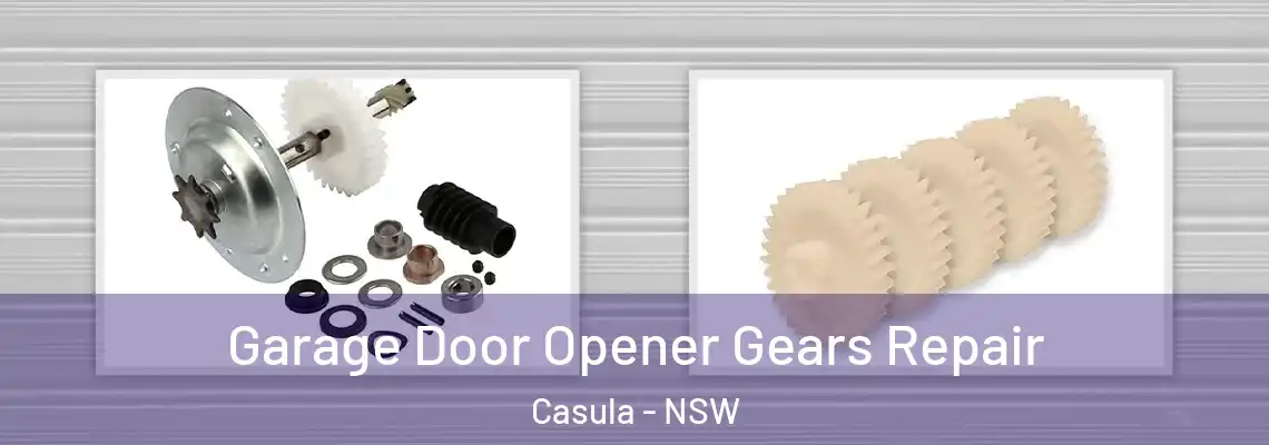 Garage Door Opener Gears Repair Casula - NSW