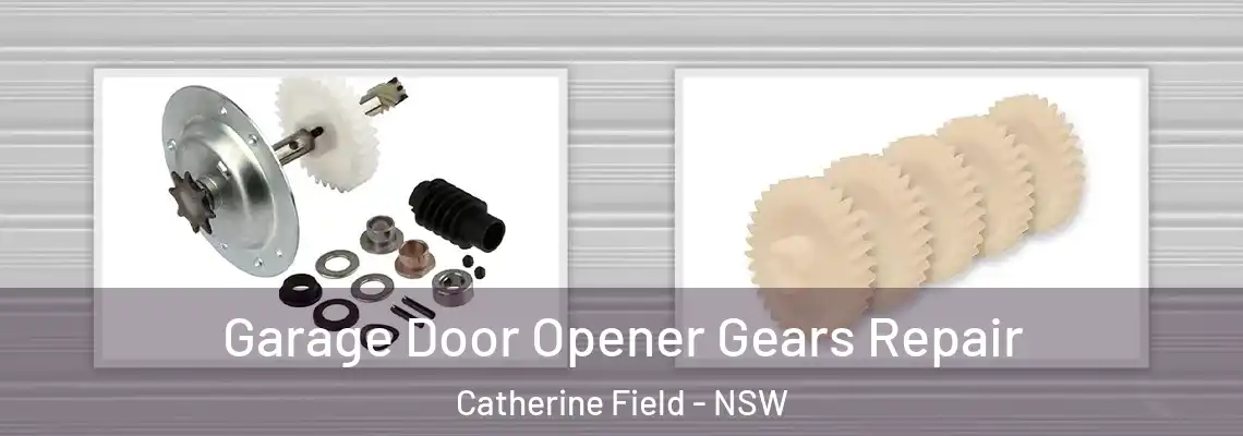 Garage Door Opener Gears Repair Catherine Field - NSW