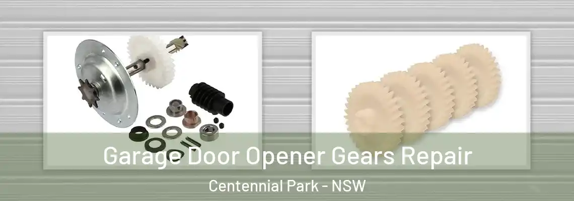 Garage Door Opener Gears Repair Centennial Park - NSW