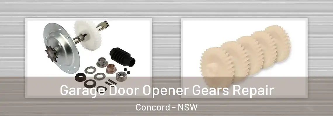 Garage Door Opener Gears Repair Concord - NSW