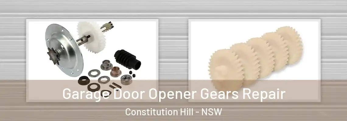 Garage Door Opener Gears Repair Constitution Hill - NSW