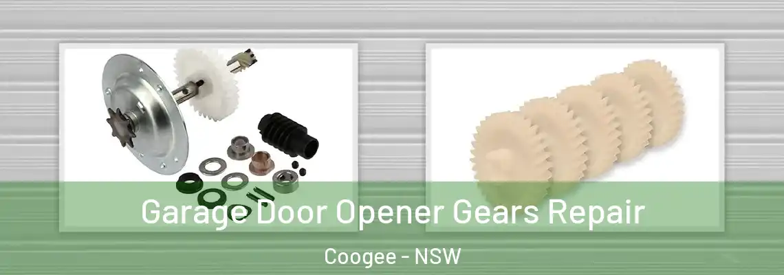 Garage Door Opener Gears Repair Coogee - NSW