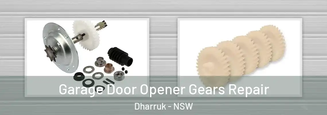 Garage Door Opener Gears Repair Dharruk - NSW