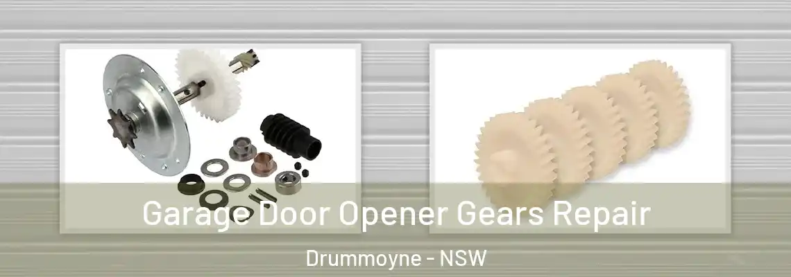 Garage Door Opener Gears Repair Drummoyne - NSW