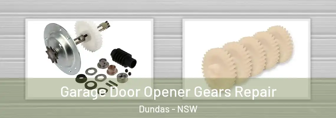 Garage Door Opener Gears Repair Dundas - NSW