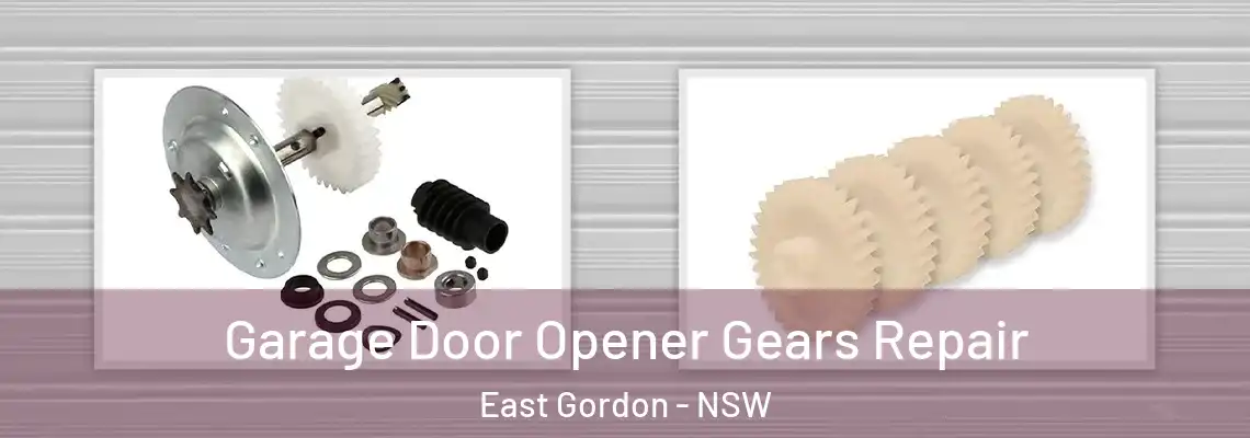  Garage Door Opener Gears Repair East Gordon - NSW