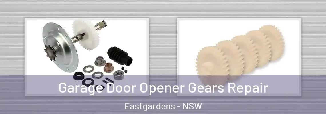  Garage Door Opener Gears Repair Eastgardens - NSW