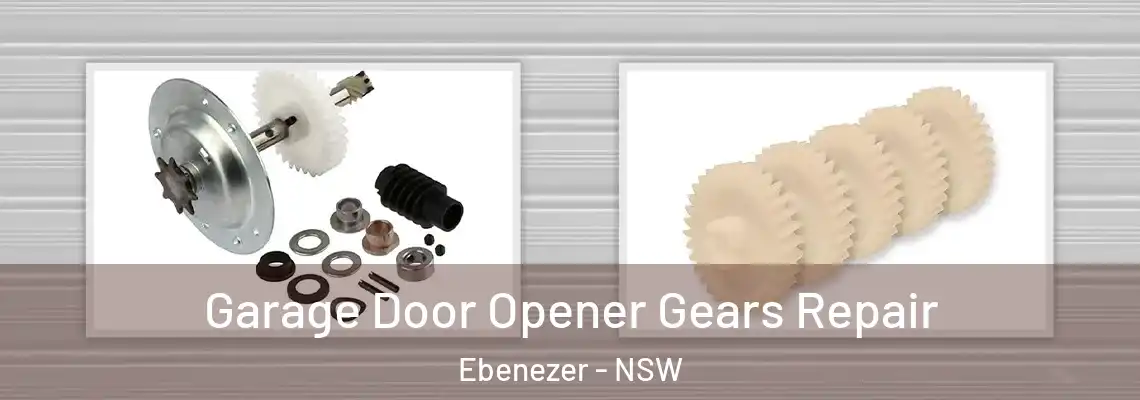Garage Door Opener Gears Repair Ebenezer - NSW