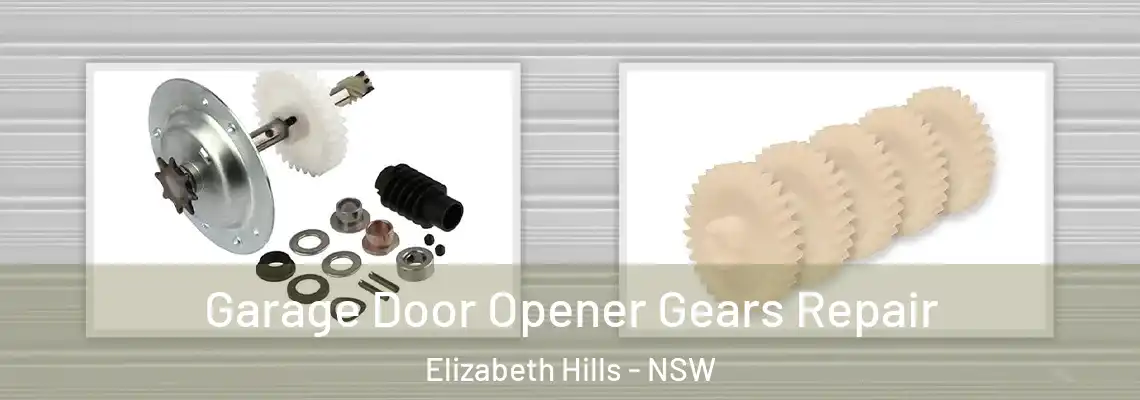 Garage Door Opener Gears Repair Elizabeth Hills - NSW