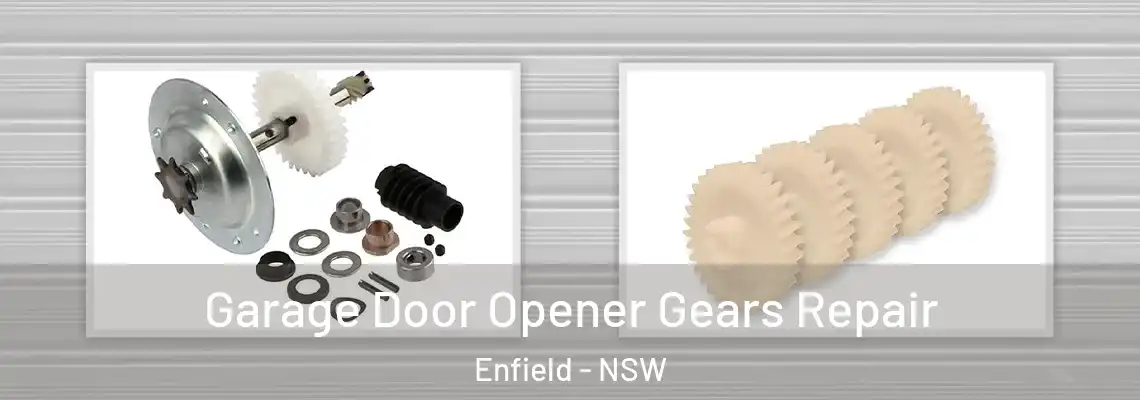 Garage Door Opener Gears Repair Enfield - NSW