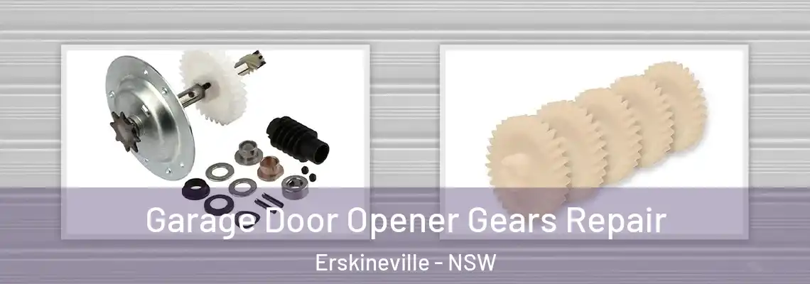 Garage Door Opener Gears Repair Erskineville - NSW