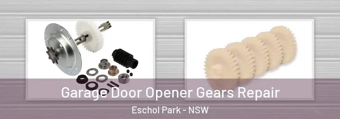 Garage Door Opener Gears Repair Eschol Park - NSW