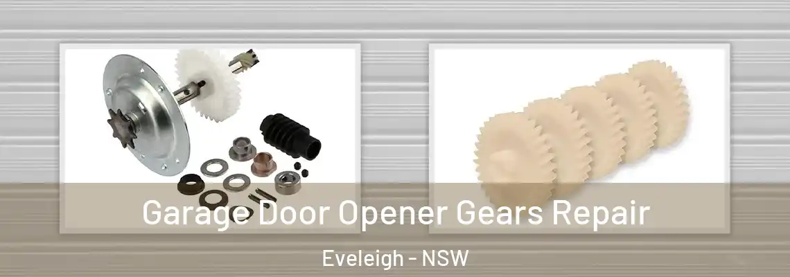 Garage Door Opener Gears Repair Eveleigh - NSW