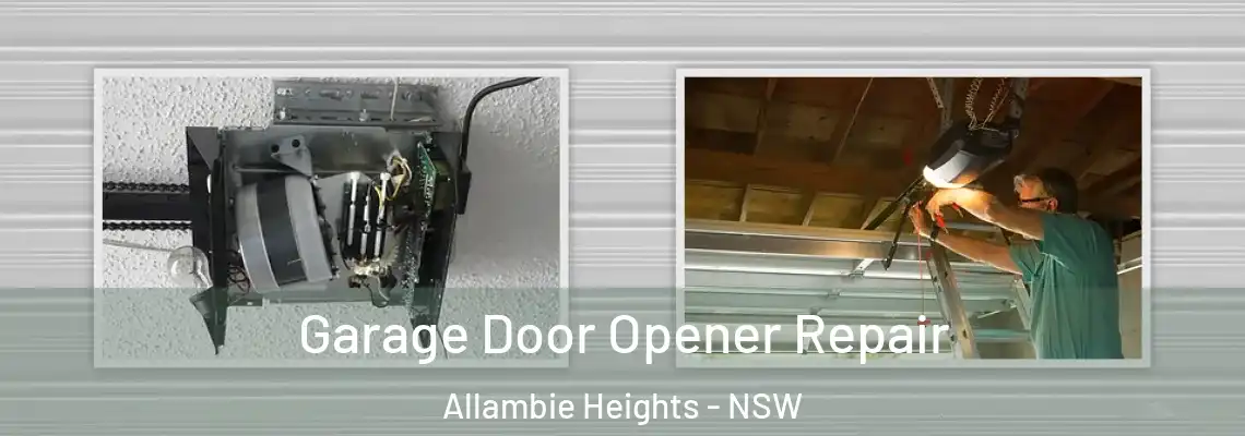 Garage Door Opener Repair Allambie Heights - NSW
