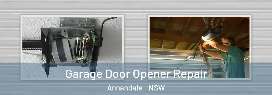 Garage Door Opener Repair Annandale - NSW