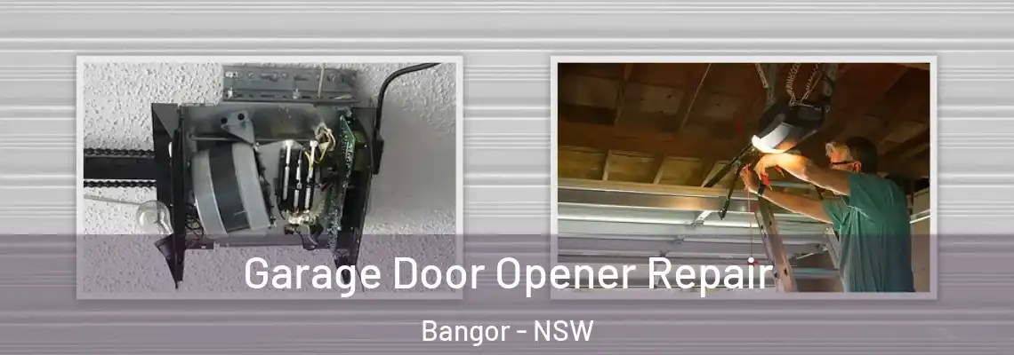 Garage Door Opener Repair Bangor - NSW