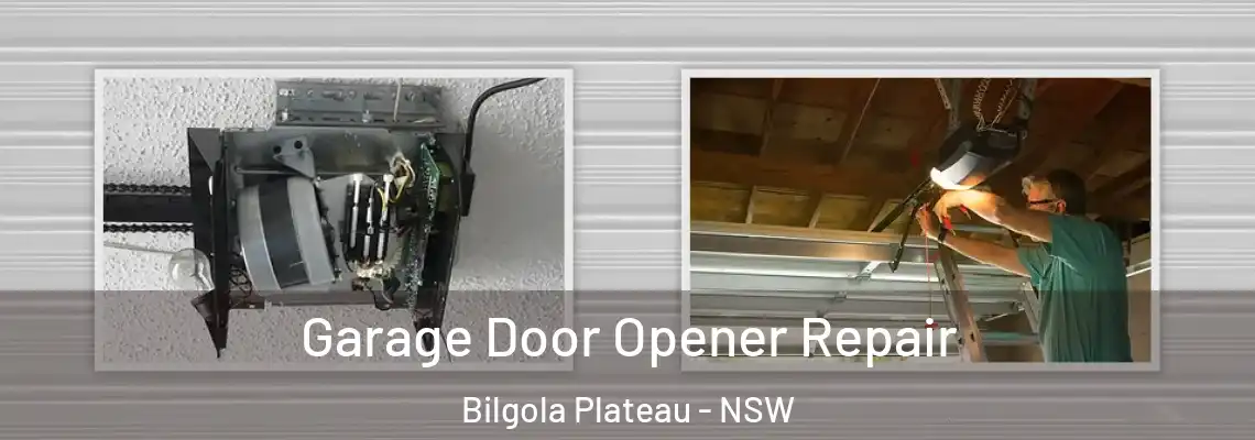 Garage Door Opener Repair Bilgola Plateau - NSW