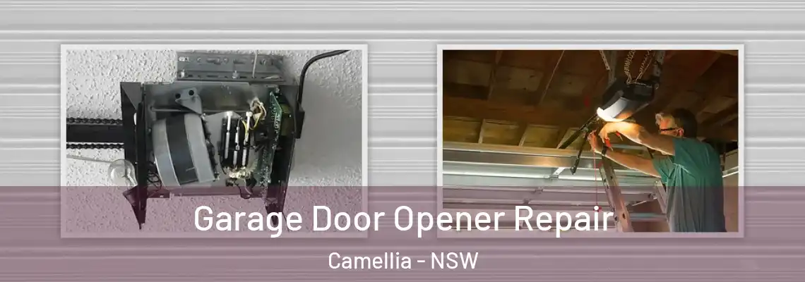 Garage Door Opener Repair Camellia - NSW
