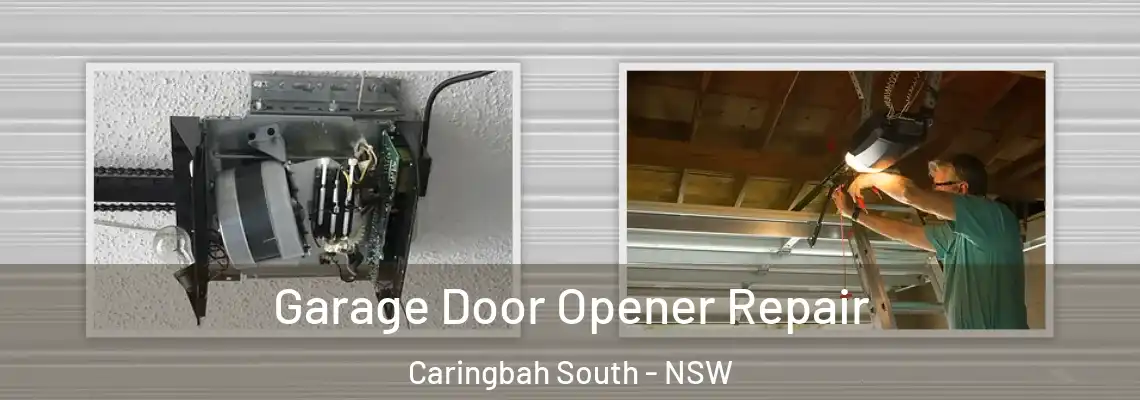Garage Door Opener Repair Caringbah South - NSW