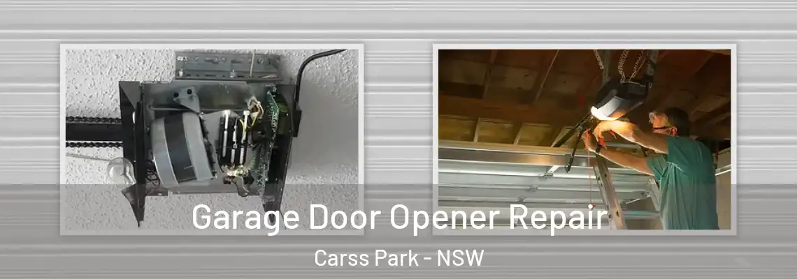 Garage Door Opener Repair Carss Park - NSW