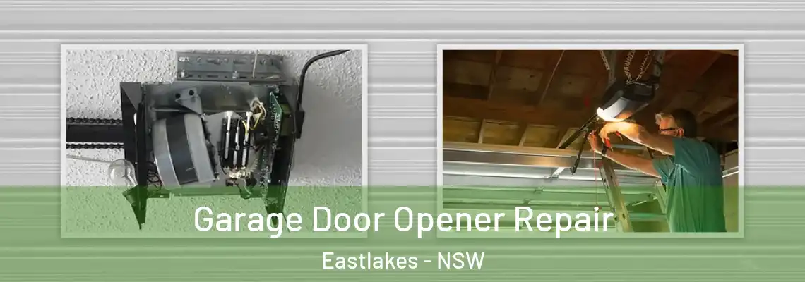 Garage Door Opener Repair Eastlakes - NSW