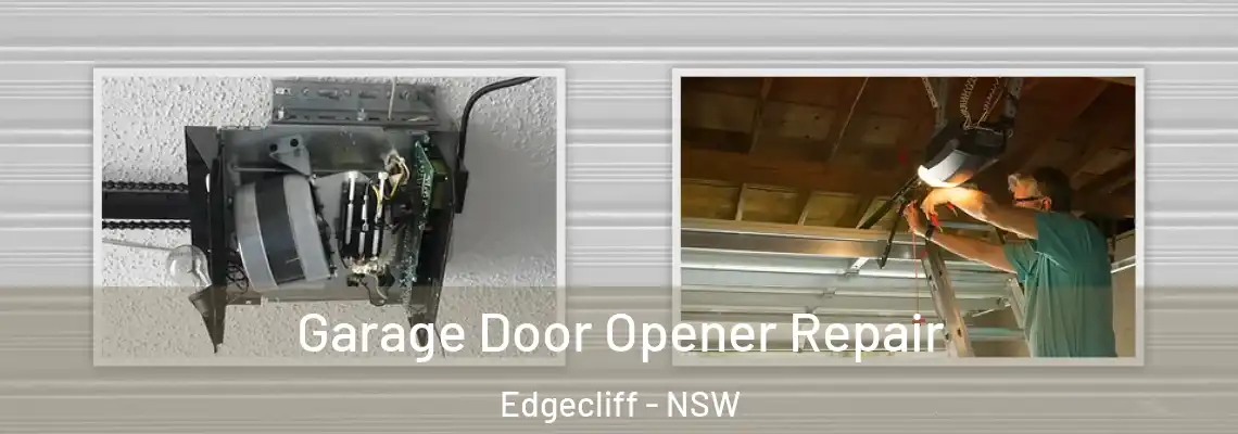 Garage Door Opener Repair Edgecliff - NSW