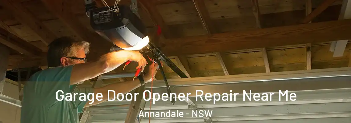 Garage Door Opener Repair Near Me Annandale - NSW