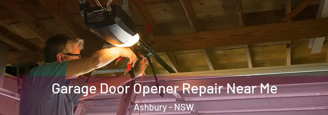 Garage Door Opener Repair Near Me Ashbury - NSW