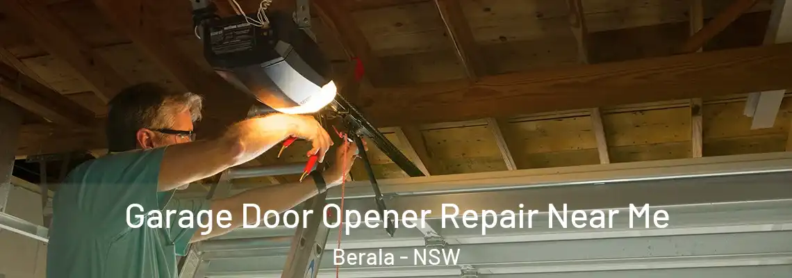 Garage Door Opener Repair Near Me Berala - NSW