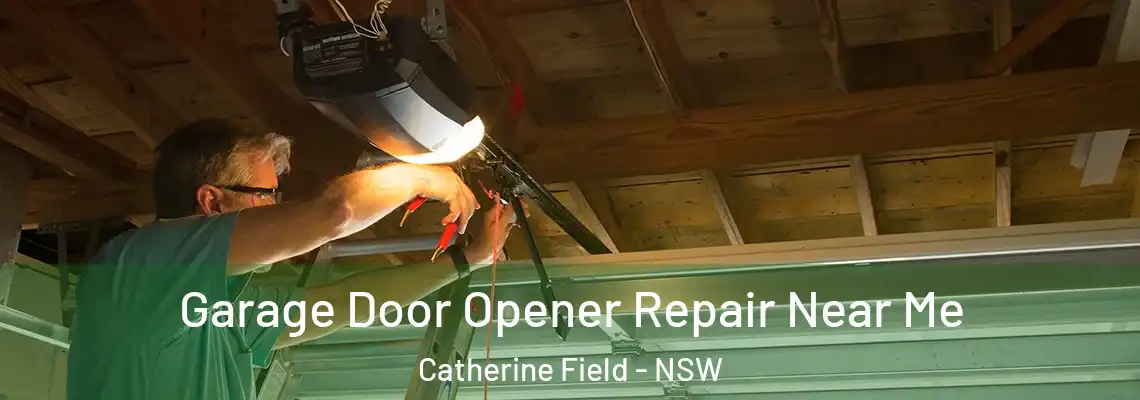 Garage Door Opener Repair Near Me Catherine Field - NSW