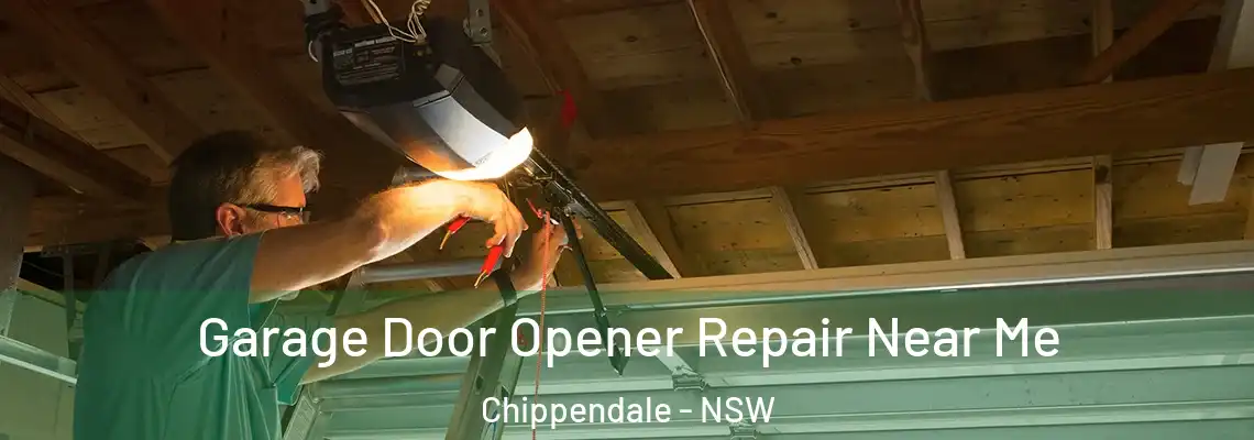 Garage Door Opener Repair Near Me Chippendale - NSW