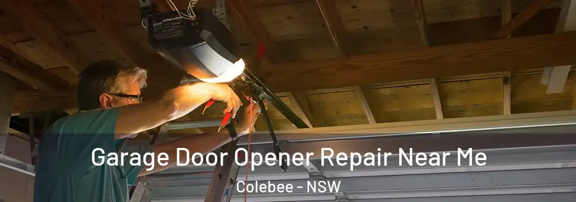 Garage Door Opener Repair Near Me Colebee - NSW
