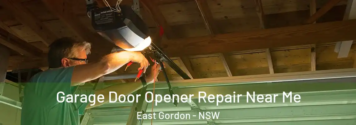 Garage Door Opener Repair Near Me East Gordon - NSW