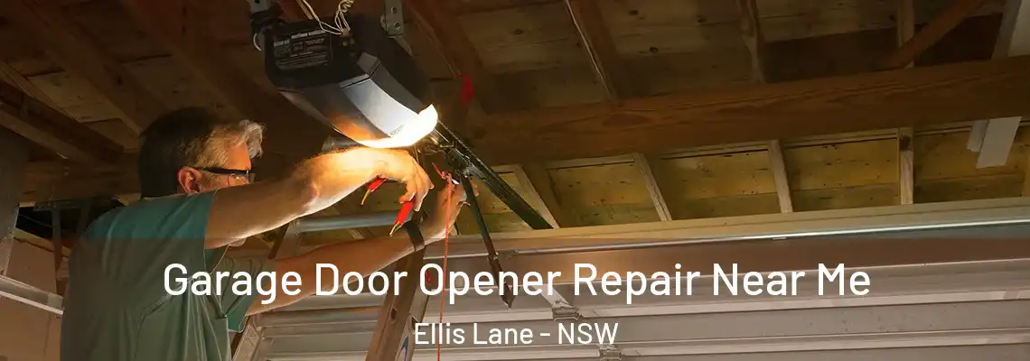 Garage Door Opener Repair Near Me Ellis Lane - NSW