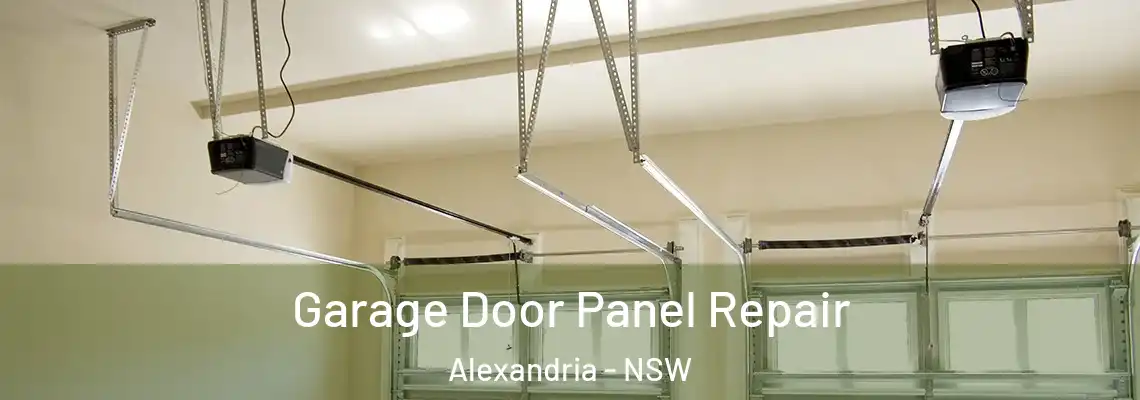 Garage Door Panel Repair Alexandria - NSW