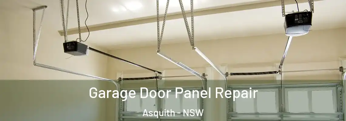 Garage Door Panel Repair Asquith - NSW