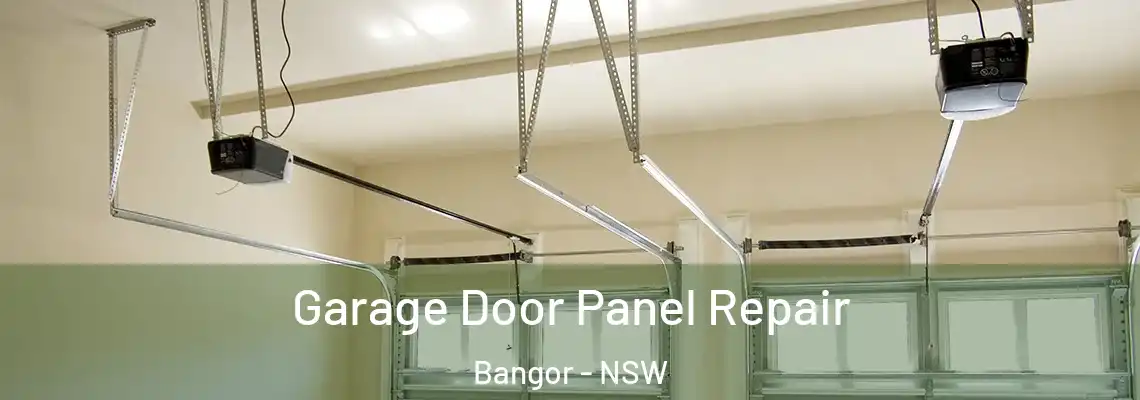 Garage Door Panel Repair Bangor - NSW