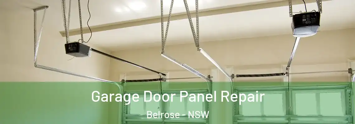 Garage Door Panel Repair Belrose - NSW