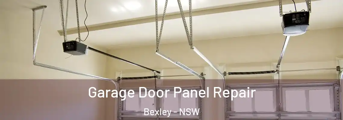 Garage Door Panel Repair Bexley - NSW