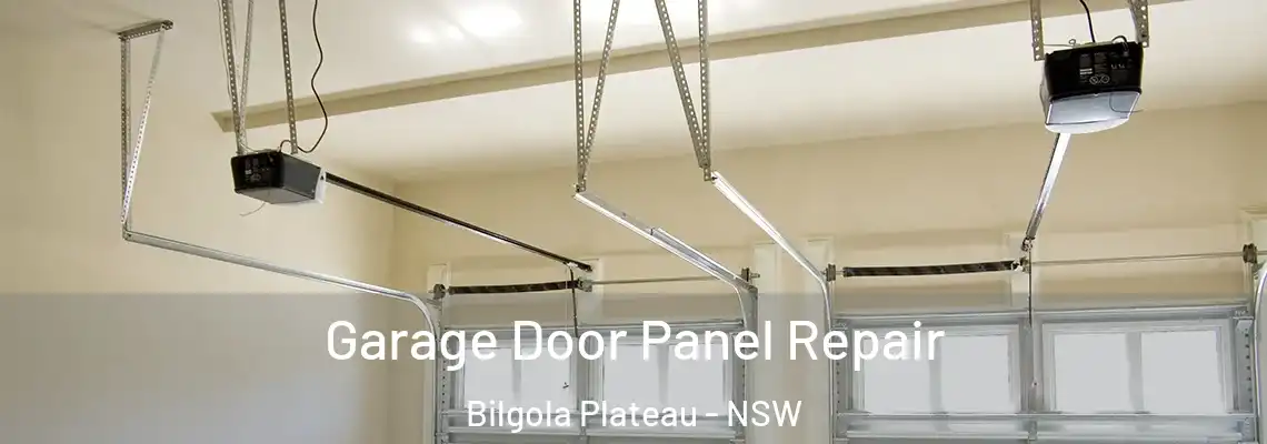 Garage Door Panel Repair Bilgola Plateau - NSW