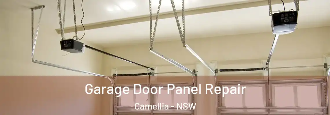 Garage Door Panel Repair Camellia - NSW