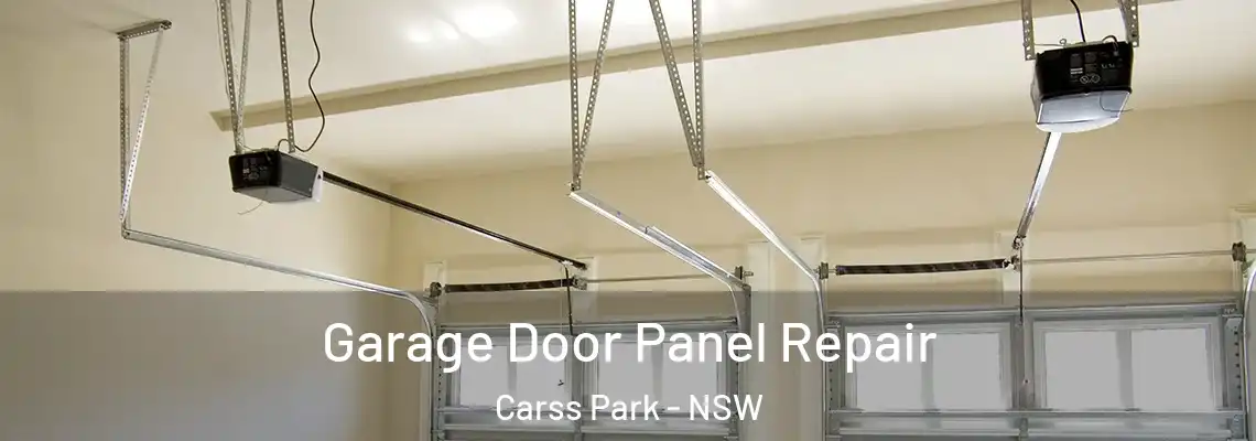 Garage Door Panel Repair Carss Park - NSW