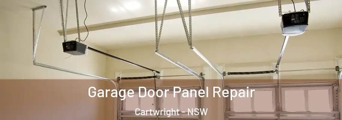 Garage Door Panel Repair Cartwright - NSW