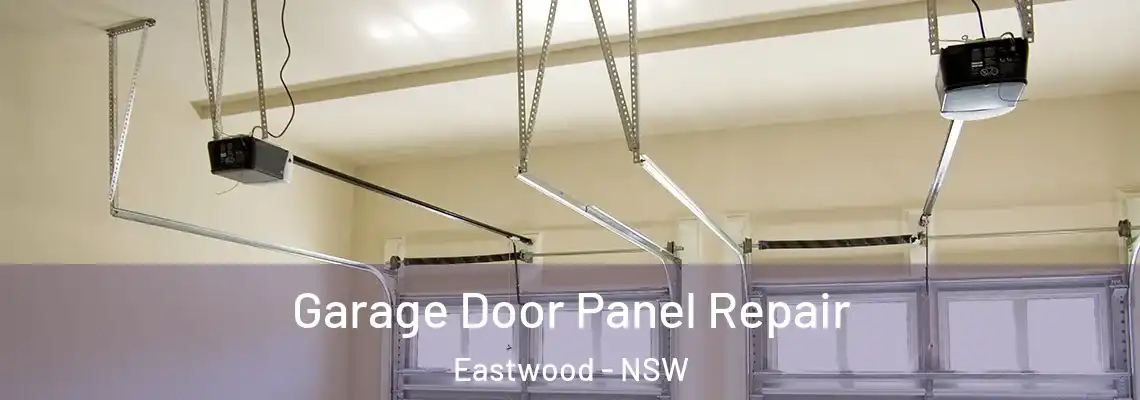 Garage Door Panel Repair Eastwood - NSW