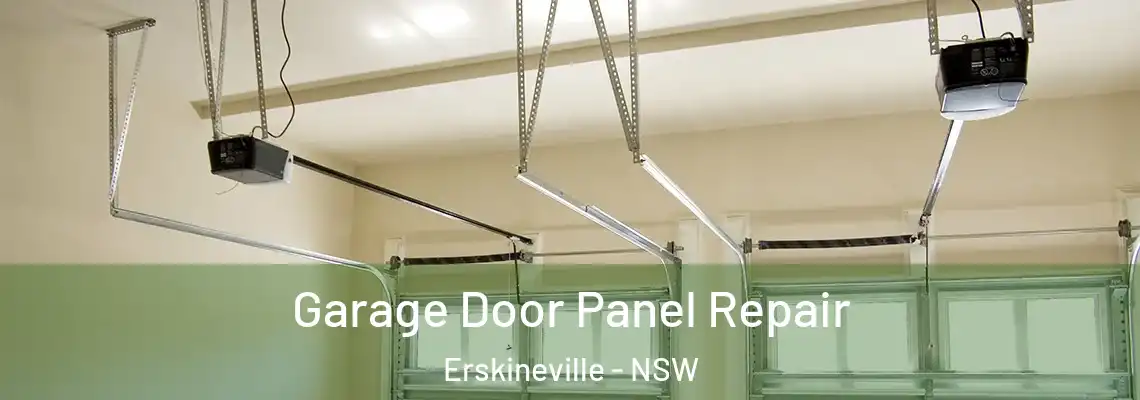 Garage Door Panel Repair Erskineville - NSW