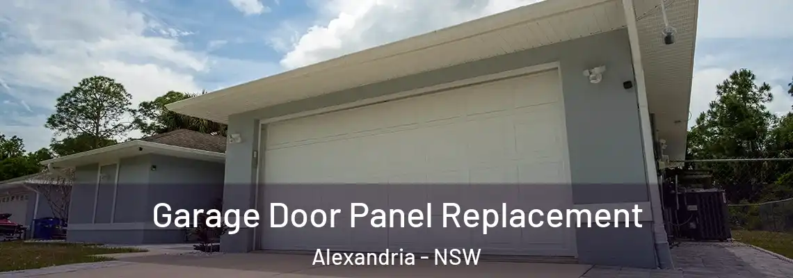 Garage Door Panel Replacement Alexandria - NSW