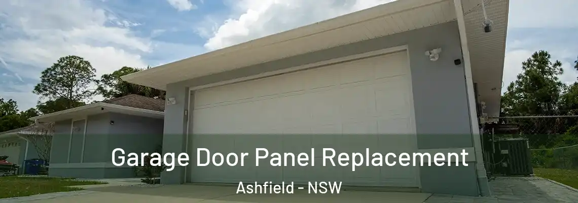 Garage Door Panel Replacement Ashfield - NSW