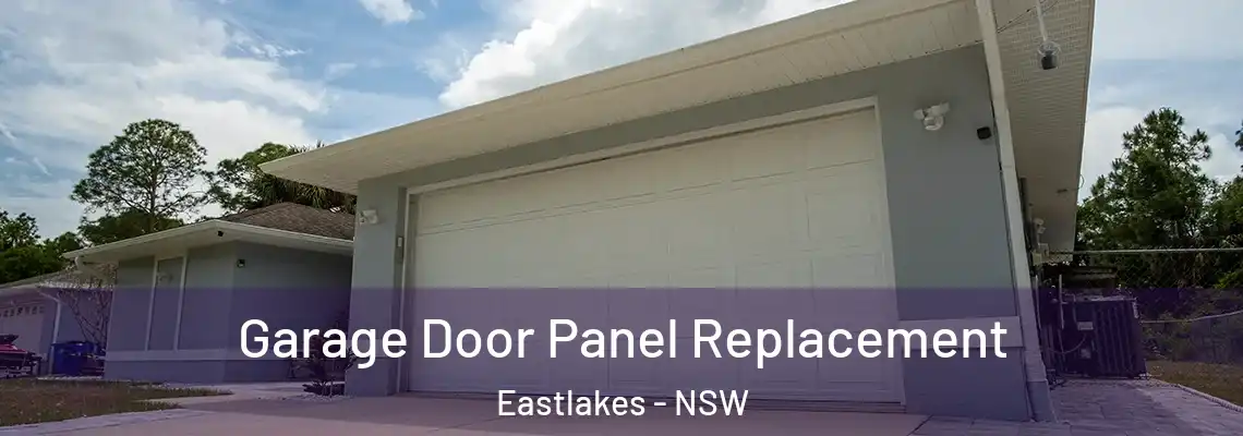 Garage Door Panel Replacement Eastlakes - NSW