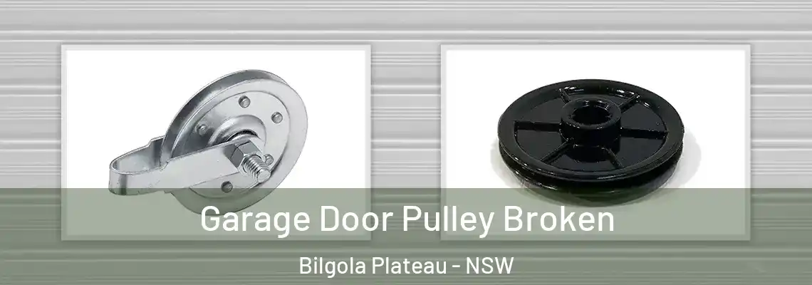 Garage Door Pulley Broken Bilgola Plateau - NSW