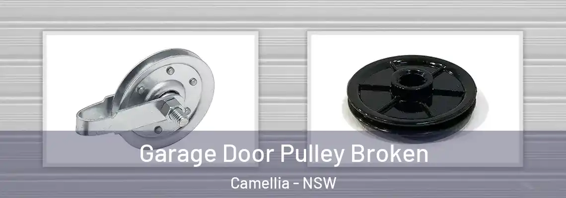 Garage Door Pulley Broken Camellia - NSW